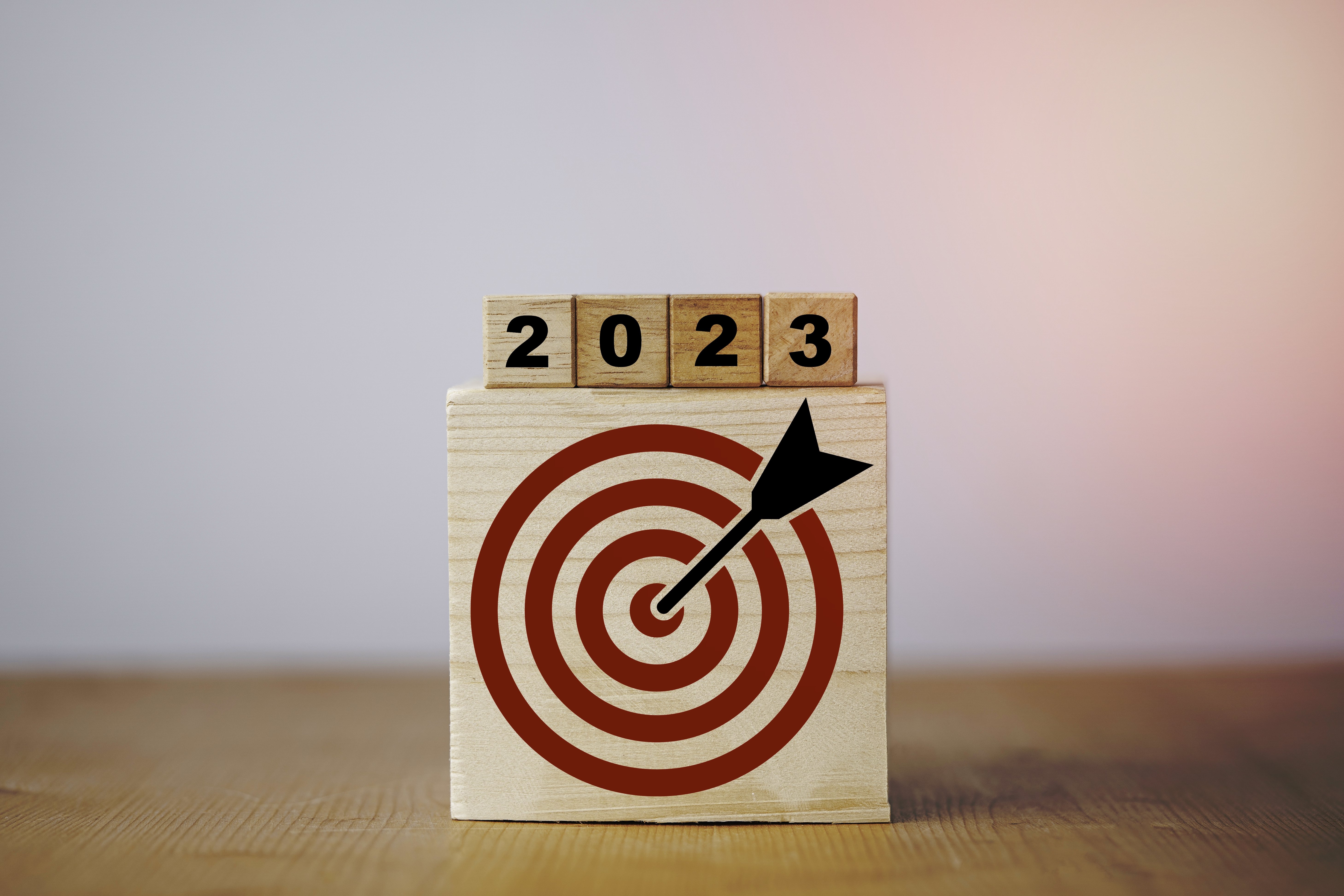 21790498_MotionElements_2023-year-with-target